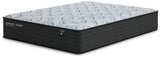 Elite Springs Plush Mattress