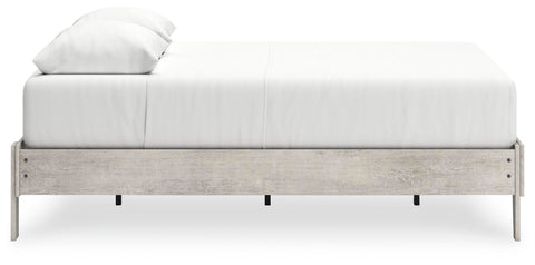 Shawburn Platform Bed